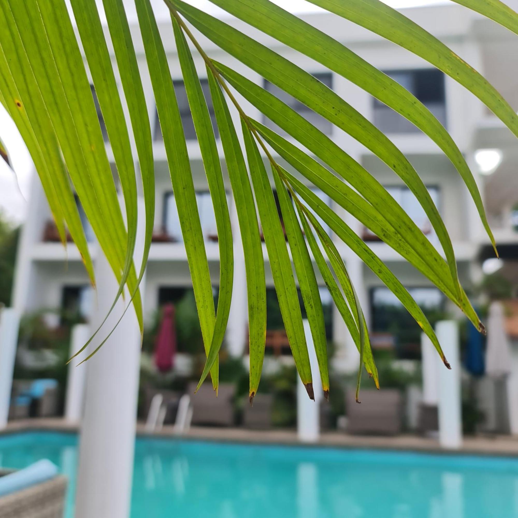 Ikopa Hotel Madagascar Ανταναναρίβο Εξωτερικό φωτογραφία